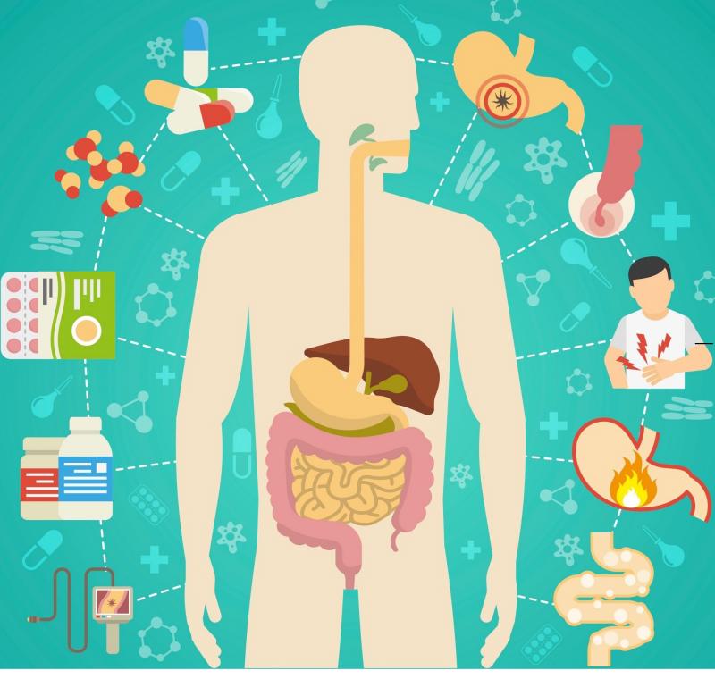 Digestion Aids Market, by Product Type, by Formulation,