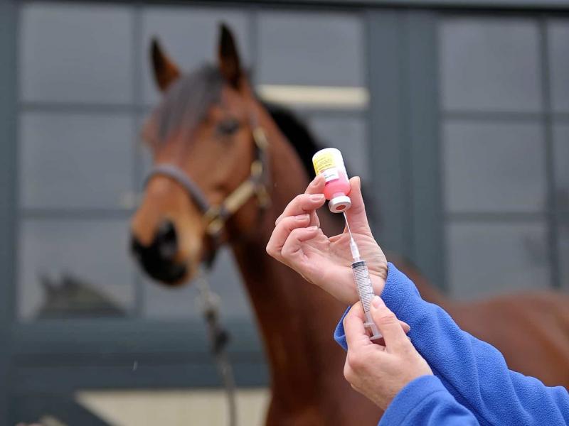 Global Equine Healthcare Market was valued at $685.7 million