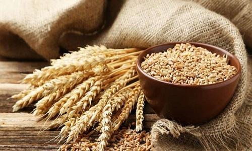 Hydrolyzed Wheat Protein Market
