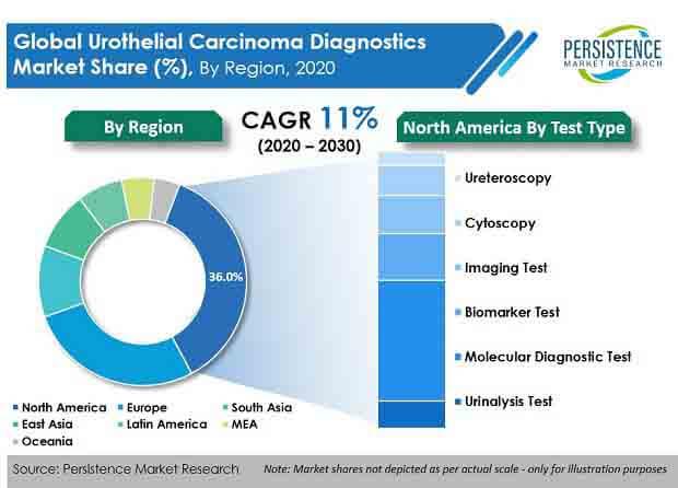 The Urothelial Carcinoma Diagnostics Market Growth Quotient