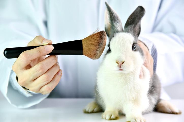 Non-Animal Alternative Testing Market