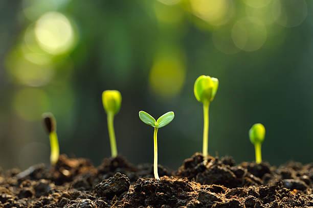 International conference and expo on agriculture and horticulture