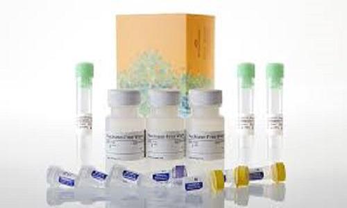 mRNA Kits Market