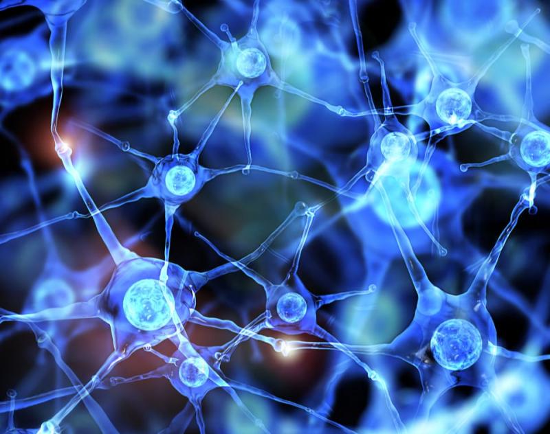 Nerve Repair and Regeneration Market is estimated to be USD 8.78