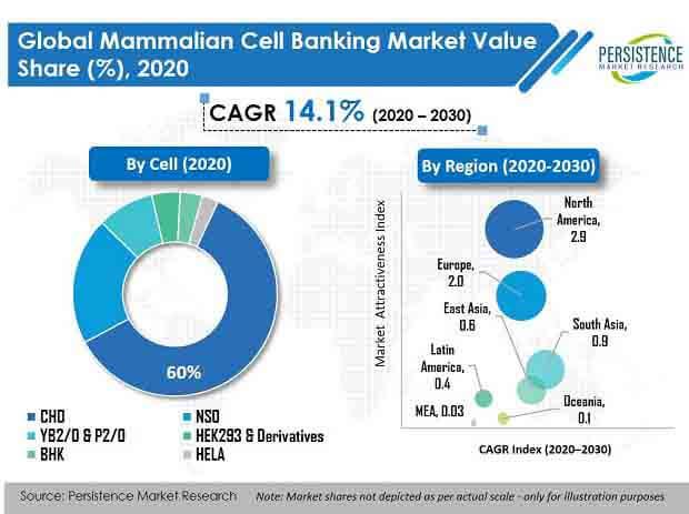 The Mammalian Cell Banking Market to witness a digitized spike