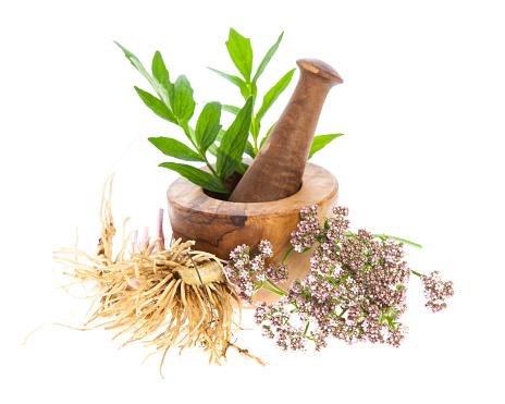Plant-Based Food & Beverages Market Size, Plant-Based Food & Beverages Market Share, Plant-Based Food & Beverages Mark