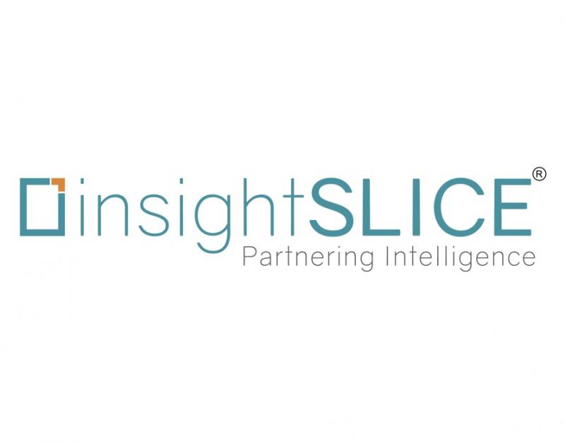 Mobile Satellite Services (MSS) Industry- insightSLICE