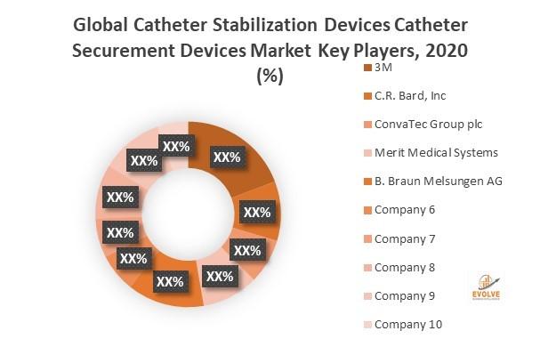 Exclusive Report on Catheter Stabilization Devices Catheter