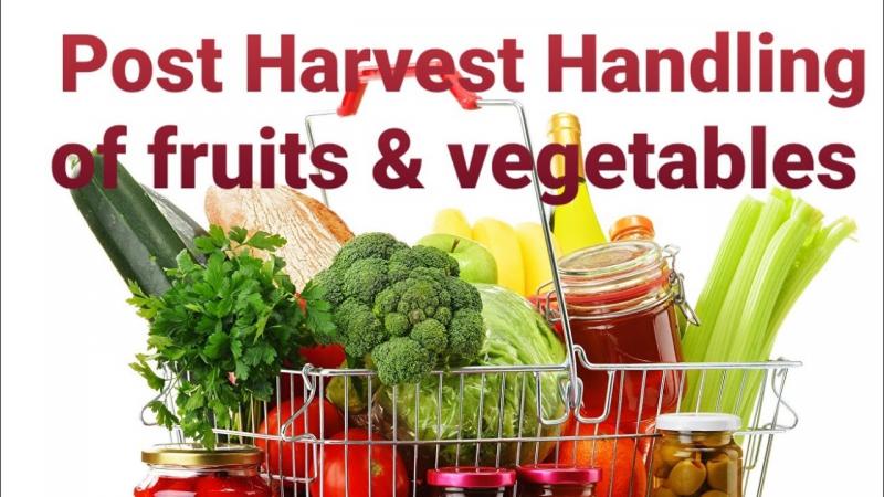 Fruits Post-harvest Treatment Market 2022: Industry