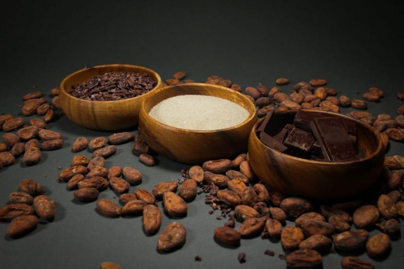 Chocolate Ingredient Market