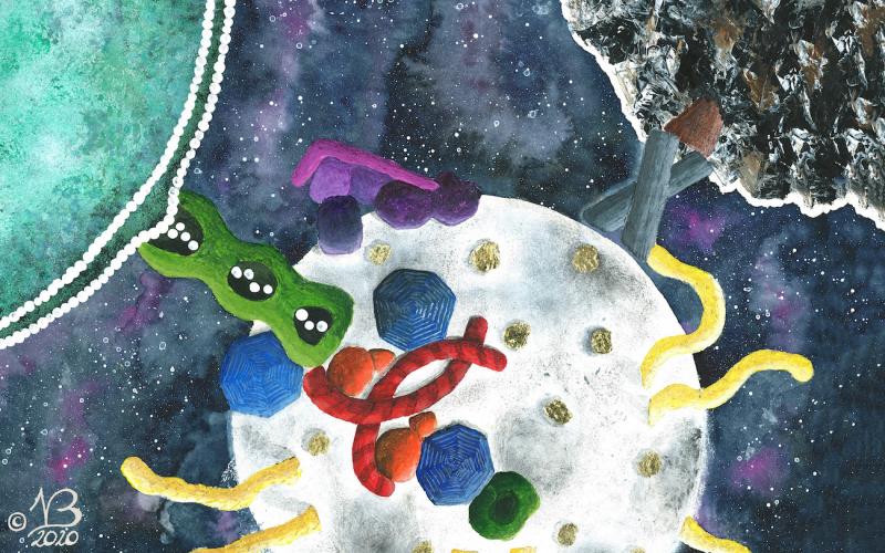 INVESTIGATING THE WASTE IN OUR CELLS: SO THAT WE CAN SOON FORGET ABOUT ALZHEIMER'S