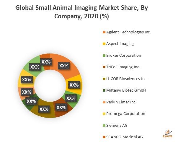 Global Small Animal Imaging Market: Emerging Trends, Major Key
