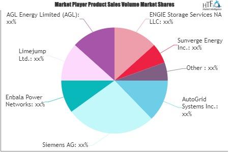 Virtual Power Plants Market SWOT Analysis by Size Status