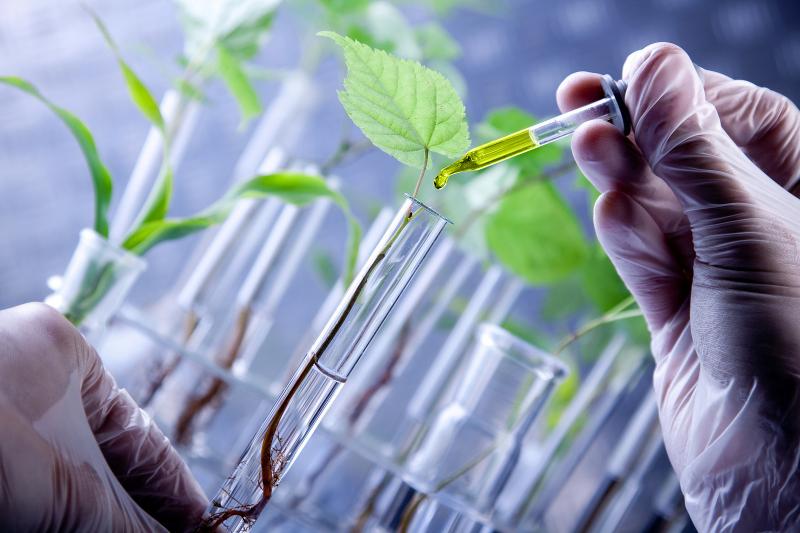 Biotechnology Market Industry Growth Analysis on Latest Trends