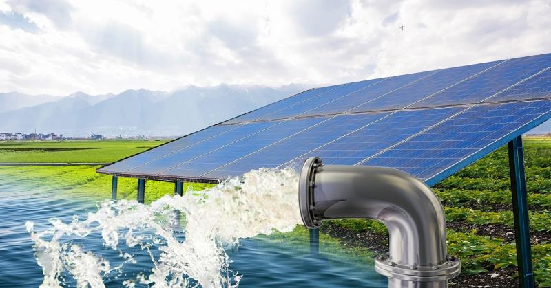 Global Solar Water Pumps Market