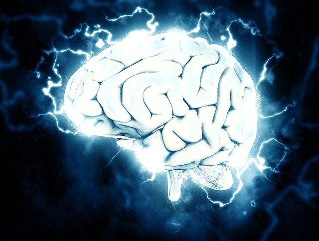 Deep Brain Stimulation Market, Deep Brain Stimulation Market Size, Deep Brain Stimulation Market Share