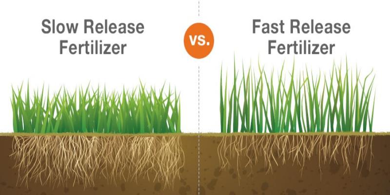 Controlled and Slow Release Fertilizers