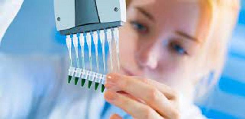 Microbial Identification Service Market Trends, Industry Size