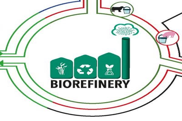 Biorefinery Market