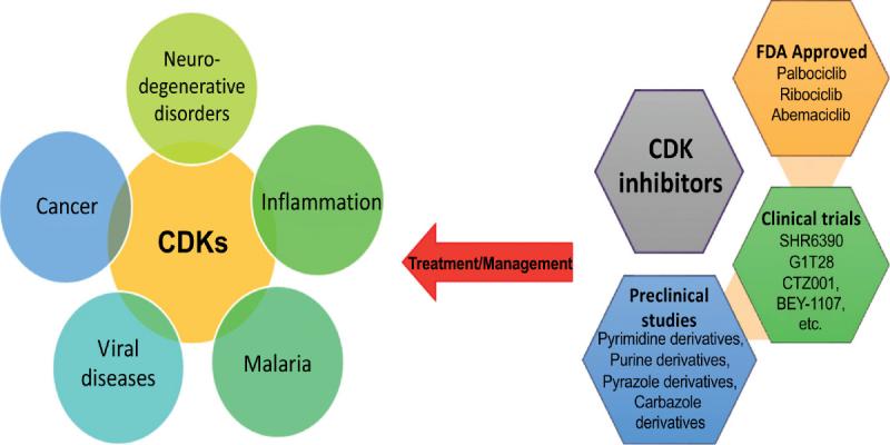 Cancer CDK Inhibitors