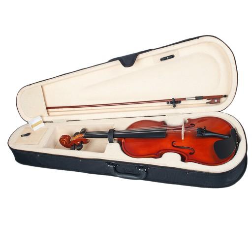 Acoustic Violin