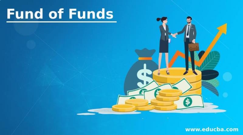 Fund of Funds (FOF) Market 2022: Industry Manufacturers