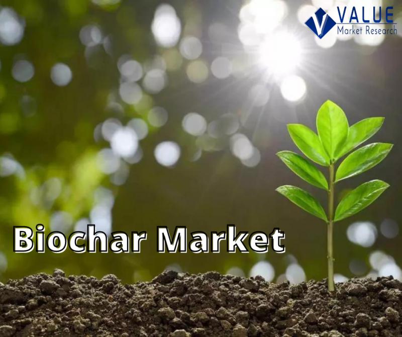Biochar Market Expected to Grow at a notable CAGR During 2022-2028