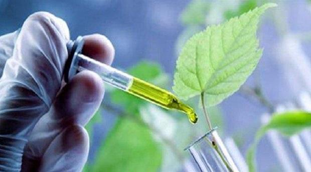 Bio-based Chemicals Market