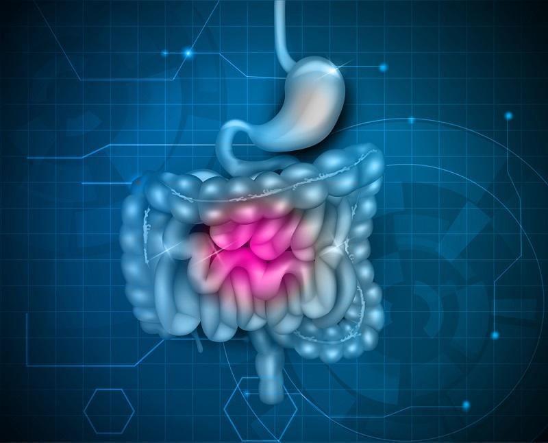 Global Gastrointestinal Drugs Market Growth Is Influenced