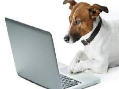 Veterinary Software Market