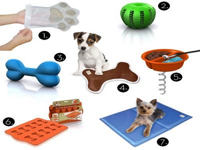 Pet Product Market