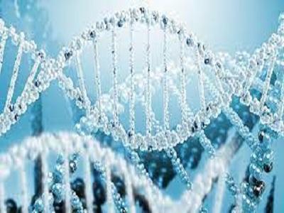 Gene Synthesis Market