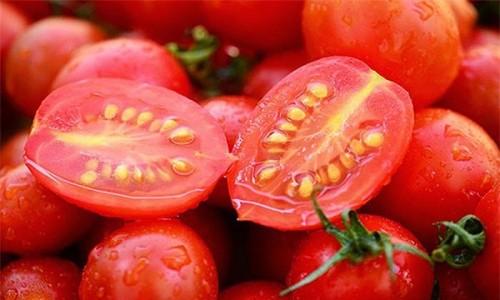 Tomato Seeds Market Analysis