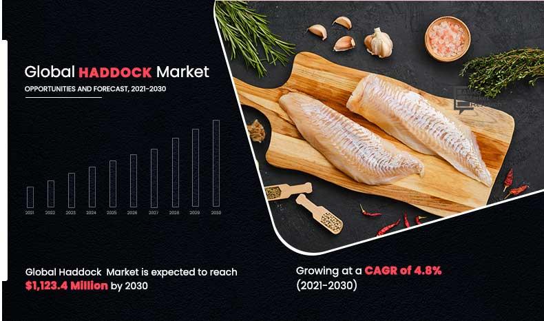 Haddock Market Size Is Expected to Reach $1.1 Bn, Globally,