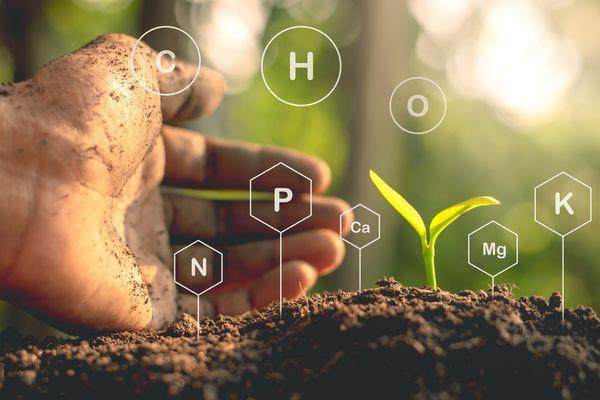 Soil Remediation Technology Market