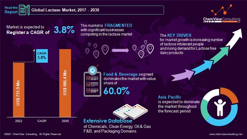 Lactase Market