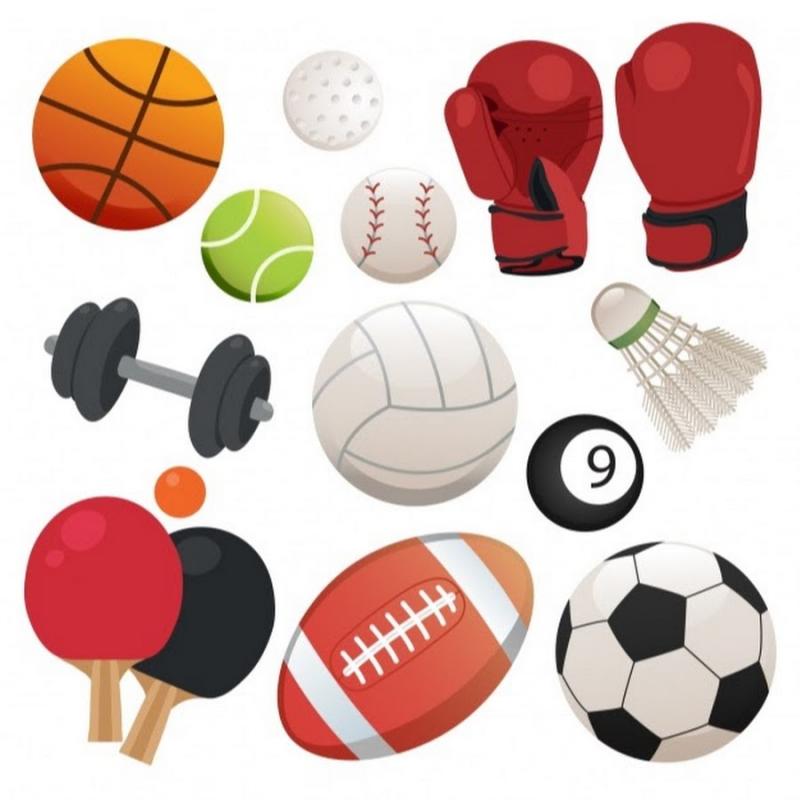 Sports Accessories Inc