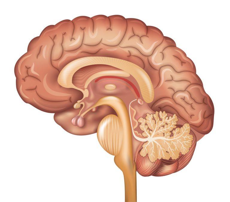 Global Progressive Supranuclear Palsy Market Size, Share,