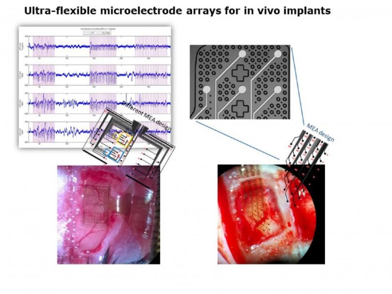 In Vitro and In Vivo Microelectrode Array