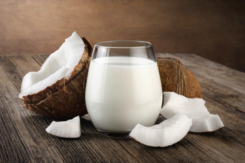 Coconut Milk Processing Plant 2022: Project Report, Plant
