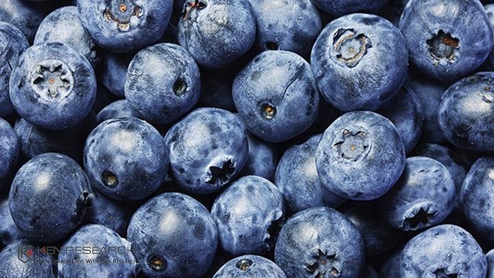 Global Blueberry Ingredients Market Growth is driven by Growing