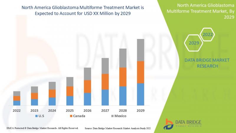Global America Glioblastoma Multiforme Treatment Market is projected to grow at 8.5% CAGR by 2029 - Transforming Healthcare and We