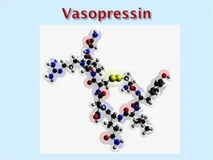 Vasopressin Market Size Analysis, Revenue Forecasts