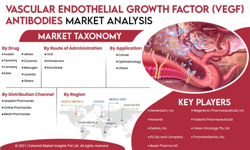 Vascular Endothelial Growth Factor (VEGF) Antibodies Market