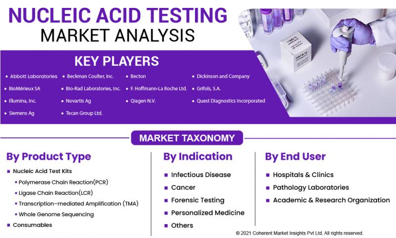 Nucleic Acid Testing Market
