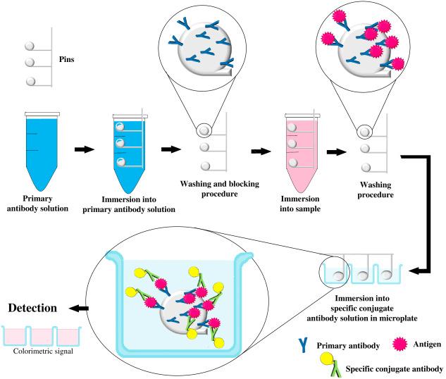 Protein Analysis Services Market