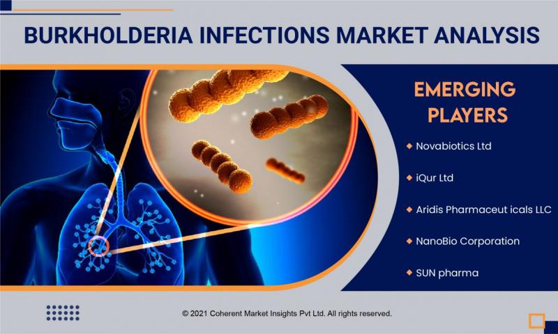 Burkholderia Infections Market
