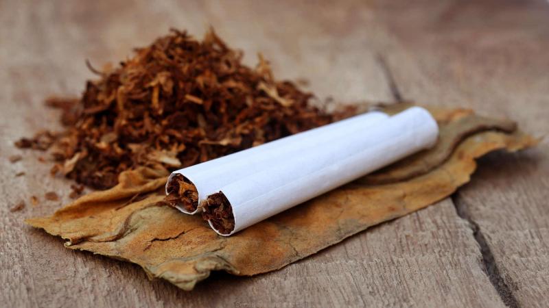 Roll-Your-Own Tobacco Product Market to reach US$ 44.6 Billion