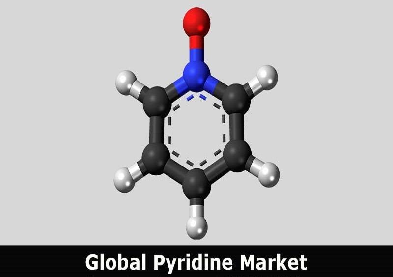 Pyridine Market Research Report by Product Type, Application, Region - Global Forecast to 2027 - Cumulative Impact of COVID-19