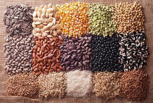 Global Commercial Seed Market is expected to reach a value of USD